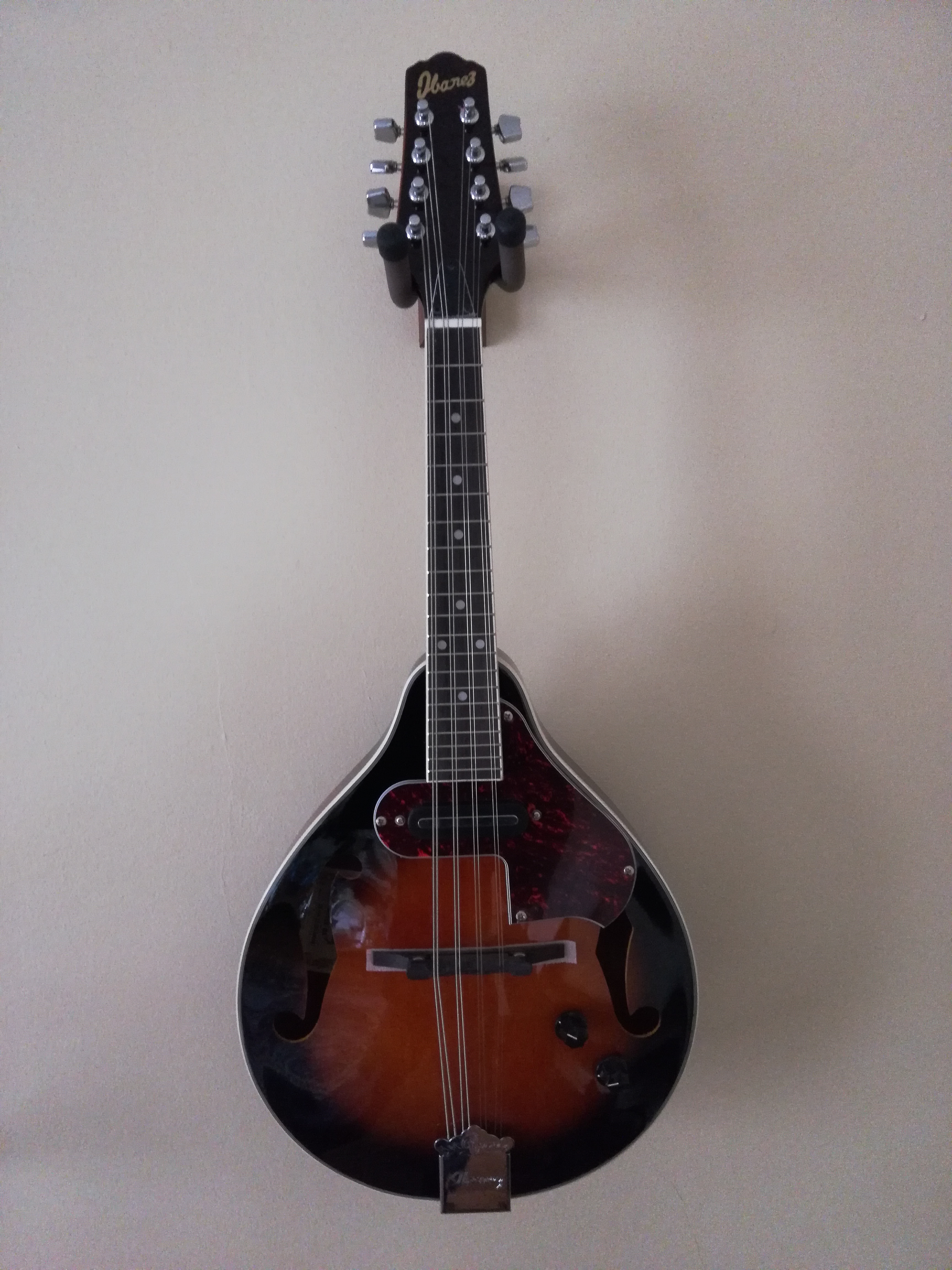 My new mandolin hanging on the wall